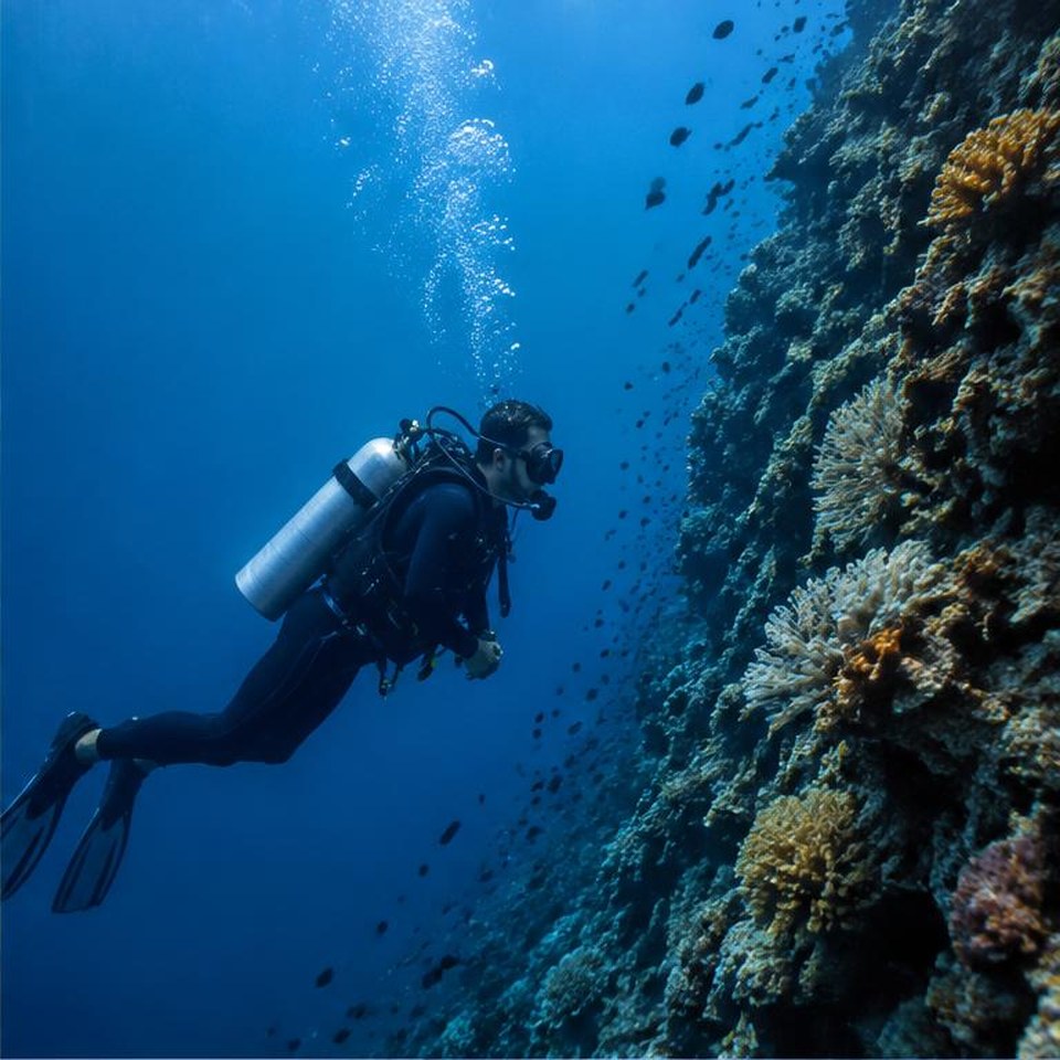 Illustrative snorkeling & diving experience 2